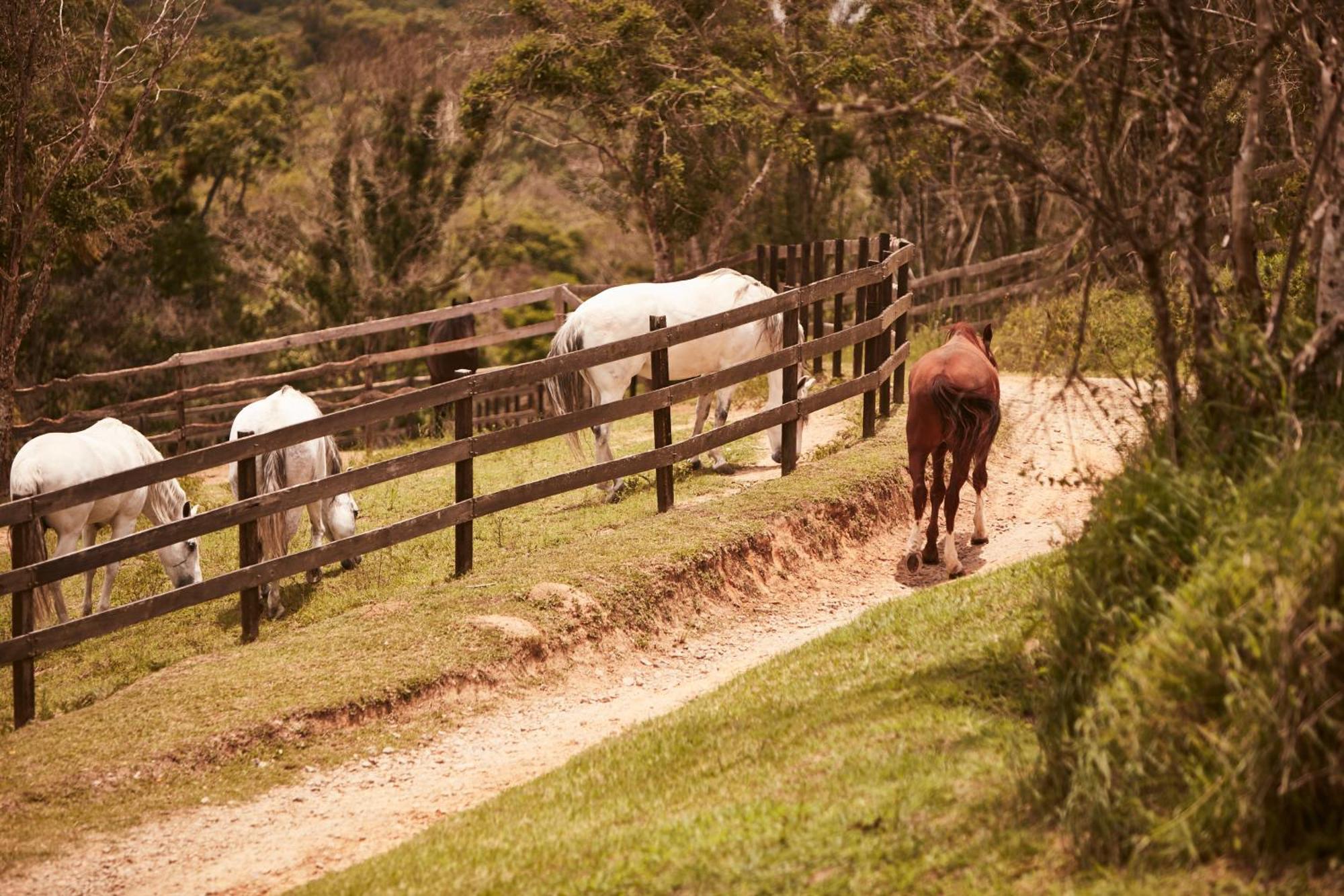 Ibiúna Hotel Fazenda Morros Verdes Ecolodge מראה חיצוני תמונה