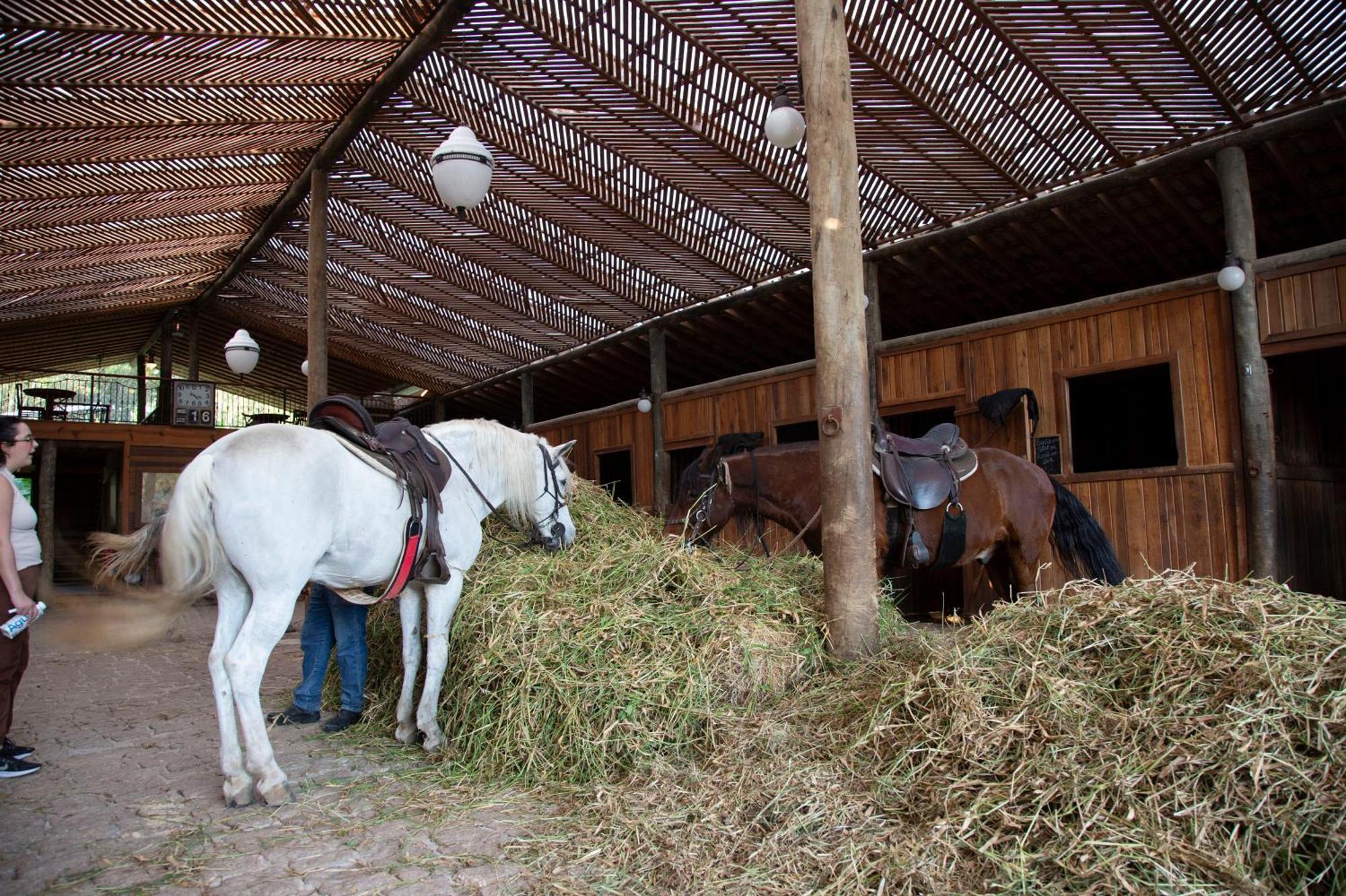Ibiúna Hotel Fazenda Morros Verdes Ecolodge מראה חיצוני תמונה